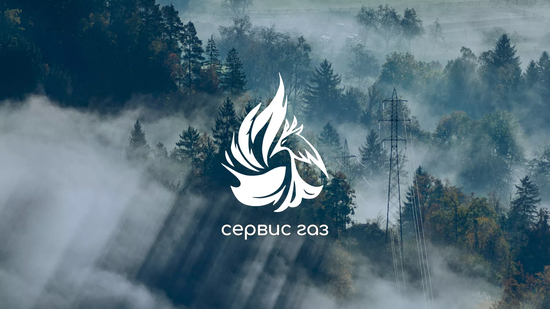 Создание сайта компании «Сервис газ» в Наволоках