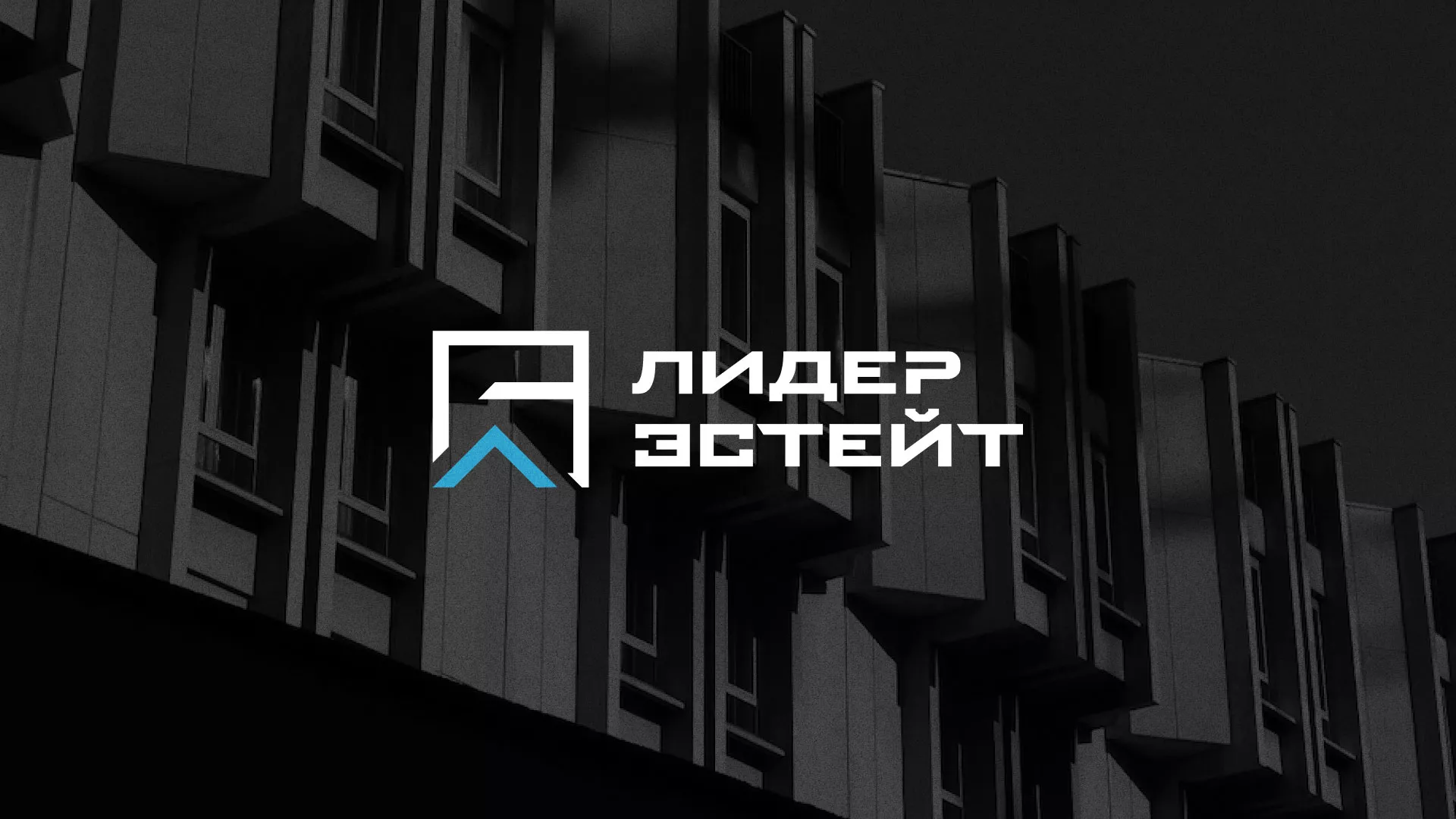 Разработка логотипа агентства недвижимости «Лидер Эстейт» в Наволоках